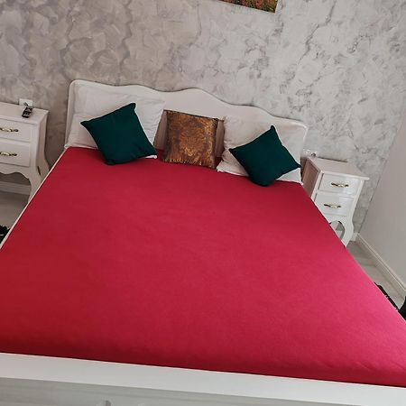 Apartament Gabriela Baia Mare Exterior photo