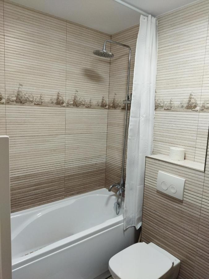 Apartament Gabriela Baia Mare Exterior photo