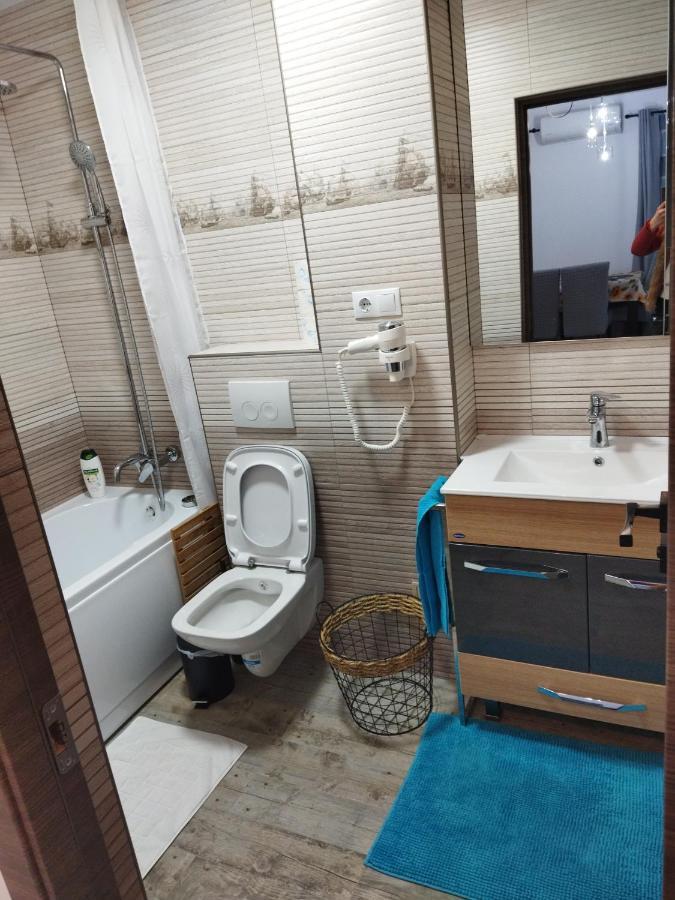 Apartament Gabriela Baia Mare Exterior photo
