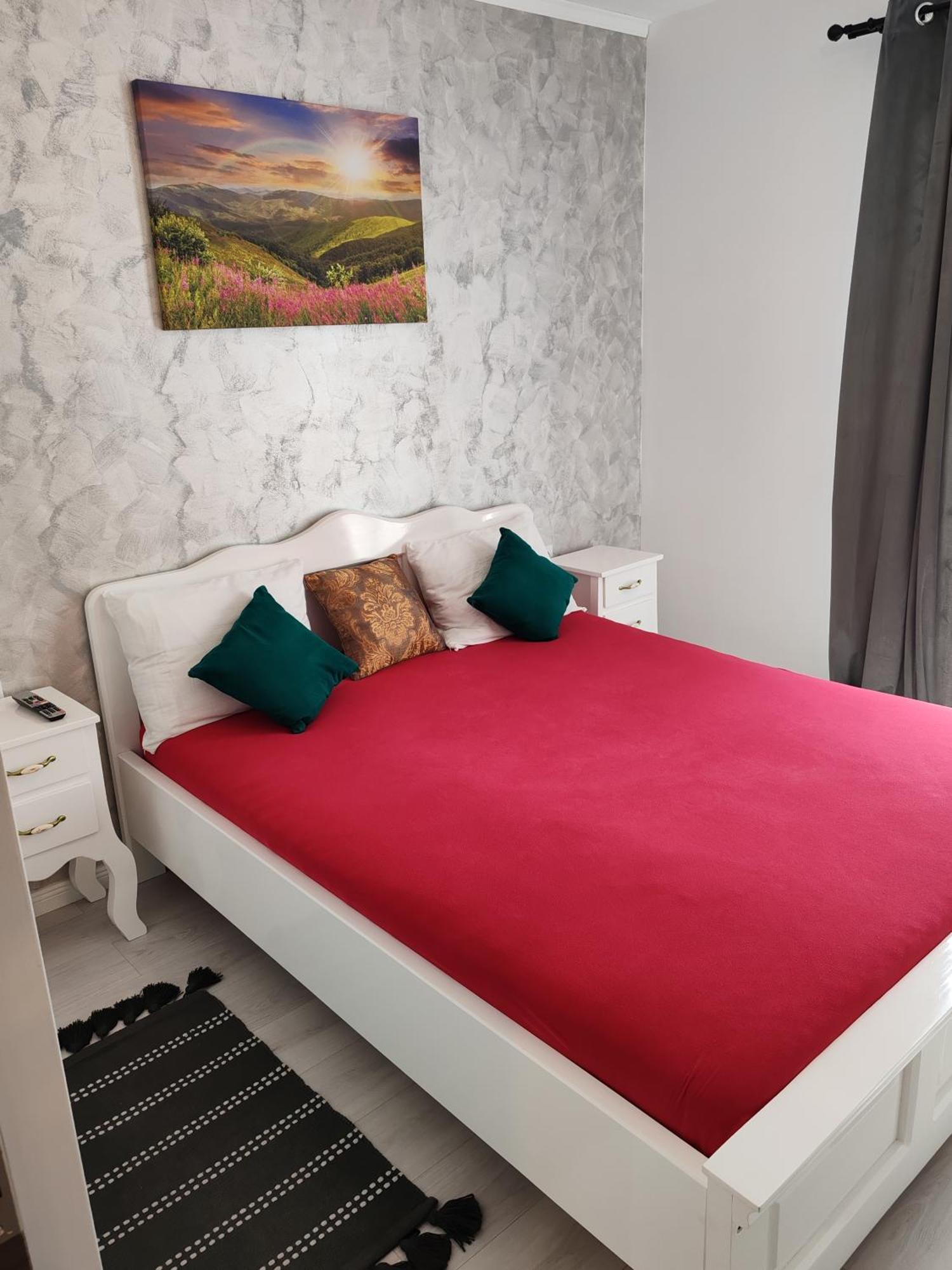 Apartament Gabriela Baia Mare Exterior photo